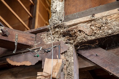 リフォームのサイン・シロアリ被害